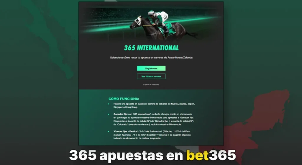 Página promocional de 365 International en bet365 con información sobre apuestas en carreras de caballos internacionales